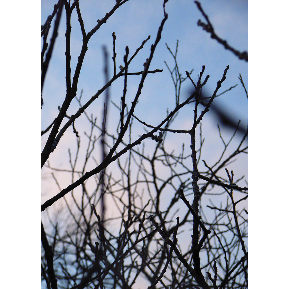 dusk-inspiration dusk-inspiration